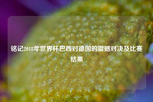 铭记2018年世界杯巴西对德国的震撼对决及比赛结果