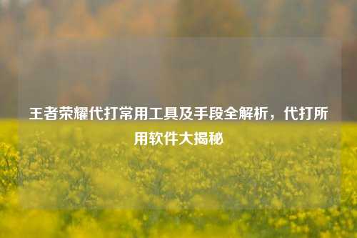 王者荣耀代打常用工具及手段全解析,代打所用软件大揭秘
