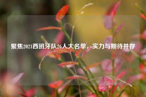 聚焦2021西班牙队26人大名单,实力与期待并存