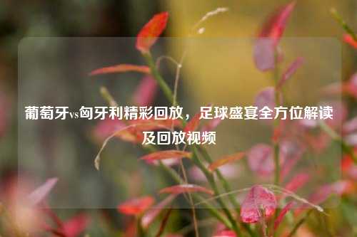 葡萄牙vs匈牙利精彩回放，足球盛宴全方位解读及回放视频