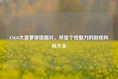 CSGO大菠萝穿搭图片，尽显个性魅力的游戏风尚大全
