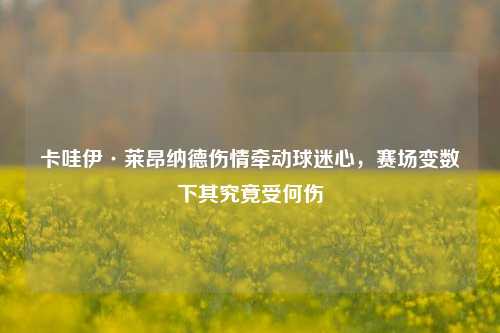卡哇伊·莱昂纳德伤情牵动球迷心,赛场变数下其究竟受何伤