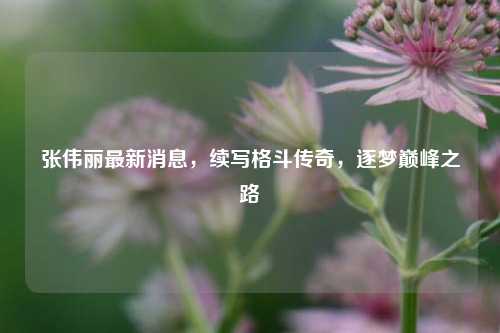 张伟丽最新消息,续写格斗传奇,逐梦巅峰之路