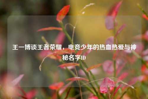 王一博谈王者荣耀，电竞少年的热血热爱与神秘名字ID