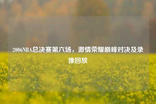 2006NBA总决赛第六场，激情荣耀巅峰对决及录像回放