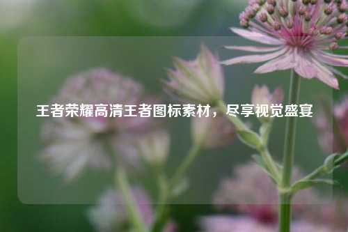 王者荣耀高清王者图标素材，尽享视觉盛宴