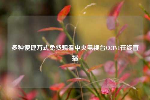多种便捷方式免费观看中央电视台CCTV1在线直播