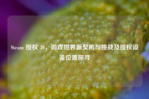 Steam 授权 30，游戏世界新契机与挑战及授权设备位置探寻