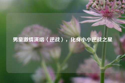 男童激情演唱〈逆战〉，化身小小逆战之星