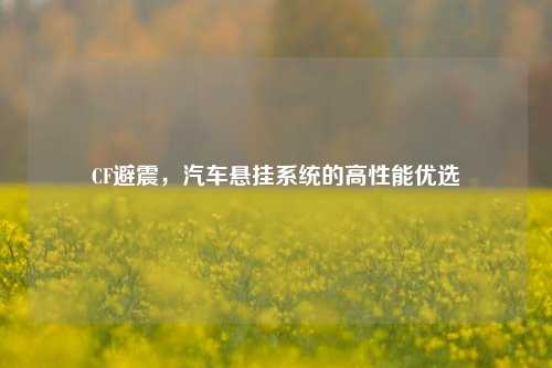 CF避震，汽车悬挂系统的高性能优选