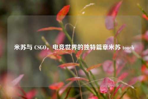 米苏与 CSGO，电竞世界的独特篇章米苏 touch