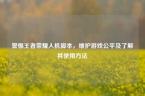 警惕王者荣耀人机脚本,维护游戏公平及了解其使用方法