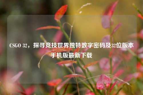 CSGO 32,探寻竞技世界独特数字密码及32位版本手机版最新下载