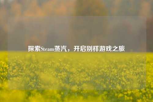 探索Steam蒸汽,开启别样游戏之旅