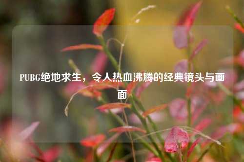 PUBG绝地求生,令人热血沸腾的经典镜头与画面