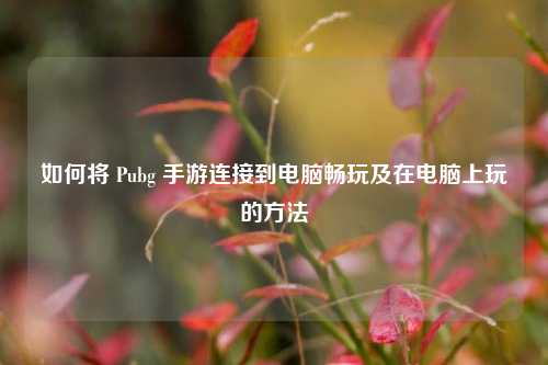 如何将 Pubg 手游连接到电脑畅玩及在电脑上玩的方法