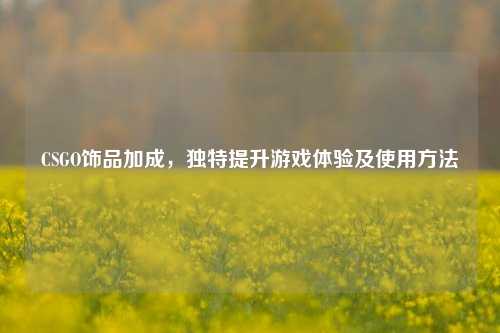 CSGO饰品加成，独特提升游戏体验及使用方法