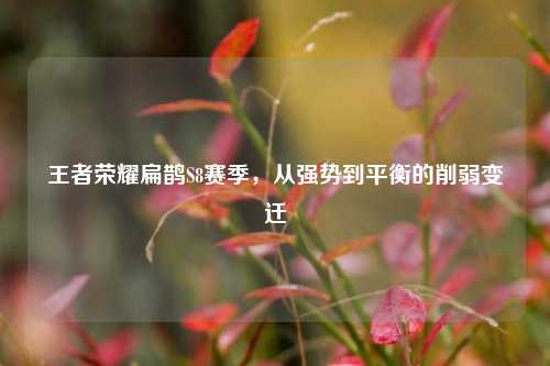 王者荣耀扁鹊S8赛季,从强势到平衡的削弱变迁