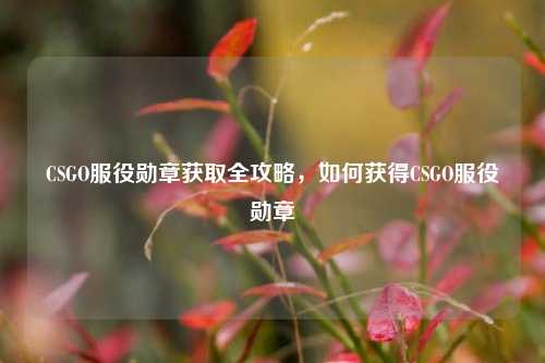 CSGO服役勋章获取全攻略，如何获得CSGO服役勋章