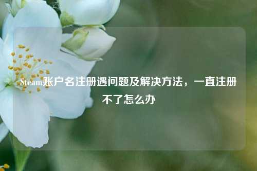 Steam账户名注册遇问题及解决方法，一直注册不了怎么办