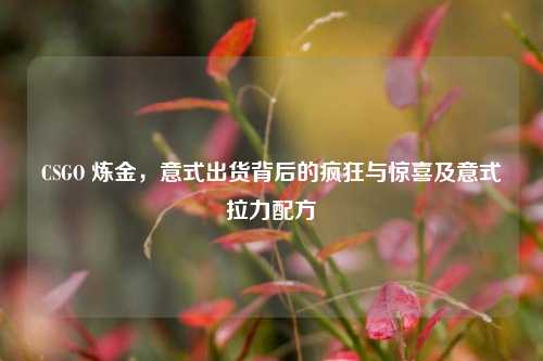 CSGO 炼金,意式出货背后的疯狂与惊喜及意式拉力配方