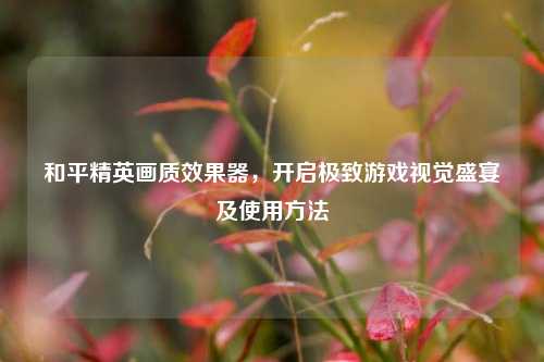 和平精英画质效果器，开启极致游戏视觉盛宴及使用方法