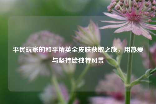 平民玩家的和平精英全皮肤获取之旅,用热爱与坚持绘独特风景