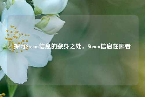 探寻Steam信息的藏身之处，Steam信息在哪看