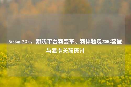 Steam 2.3.0,游戏平台新变革、新体验及230G容量与显卡关联探讨
