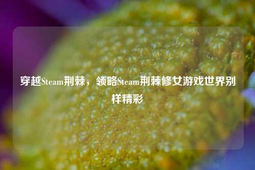 穿越Steam荆棘，领略Steam荆棘修女游戏世界别样精彩