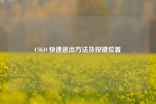 CSGO 快速退出方法及按键位置