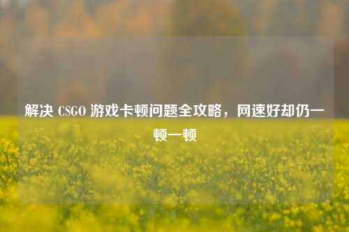 解决 CSGO 游戏卡顿问题全攻略,网速好却仍一顿一顿