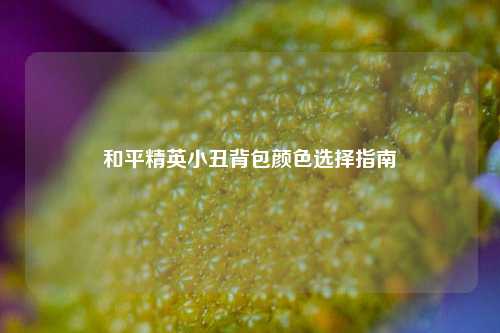 和平精英小丑背包颜色选择指南