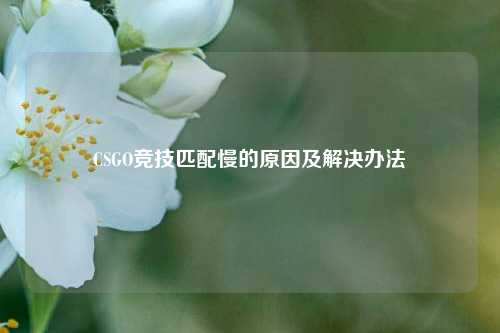 CSGO竞技匹配慢的原因及解决办法