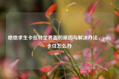 绝地求生卡在特定界面的原因与解决办法，pubg卡住怎么办