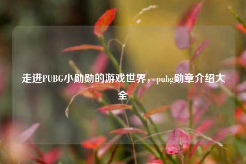 走进PUBG小勋勋的游戏世界，pubg勋章介绍大全
