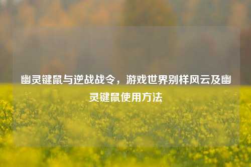 幽灵键鼠与逆战战令，游戏世界别样风云及幽灵键鼠使用方法