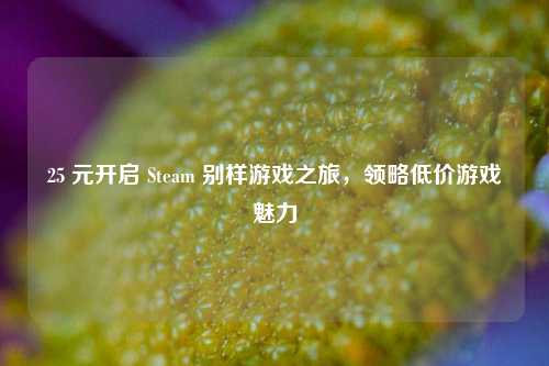 25 元开启 Steam 别样游戏之旅,领略低价游戏魅力