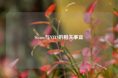 Steam与NTFS的相关事宜