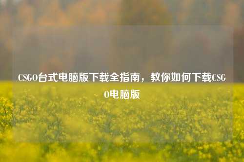 CSGO台式电脑版下载全指南,教你如何下载CSGO电脑版