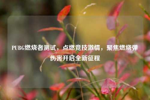 PUBG燃烧者测试,点燃竞技激情,聚焦燃烧弹伤害开启全新征程