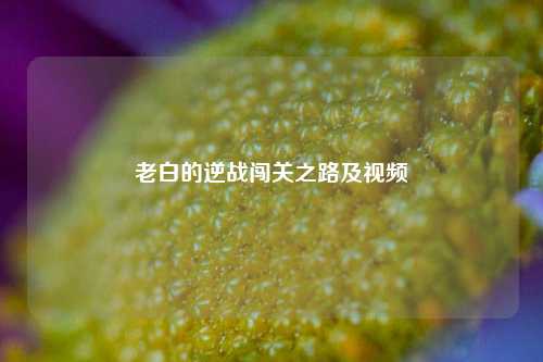 老白的逆战闯关之路及视频