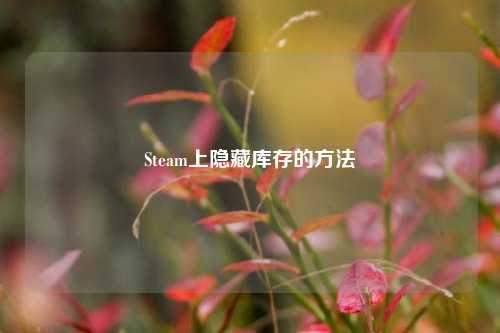 Steam上隐藏库存的方法