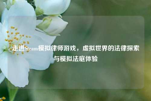 走进Steam模拟律师游戏,虚拟世界的法律探索与模拟法庭体验