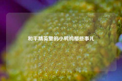 和平精英里的小鸭鸡那些事儿
