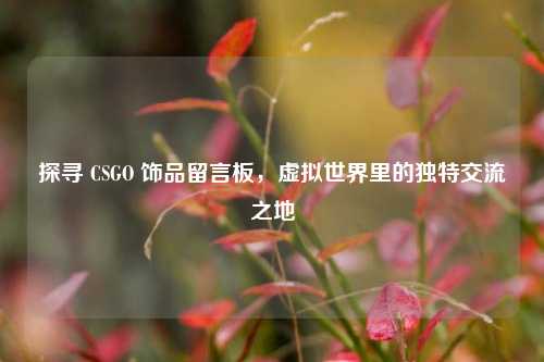 探寻 CSGO 饰品留言板,虚拟世界里的独特交流之地