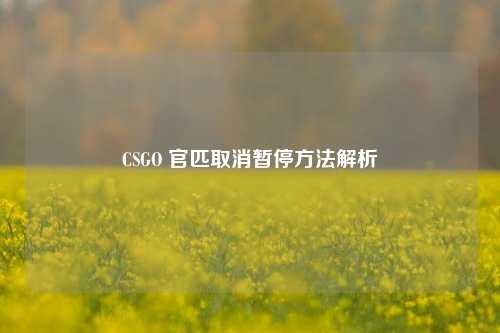 CSGO 官匹取消暂停方法解析