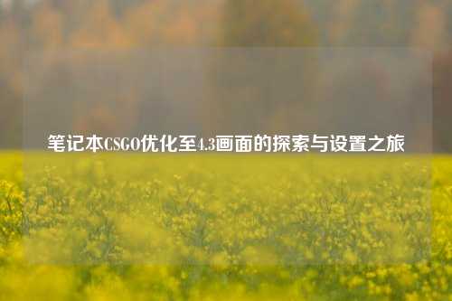 笔记本CSGO优化至4.3画面的探索与设置之旅