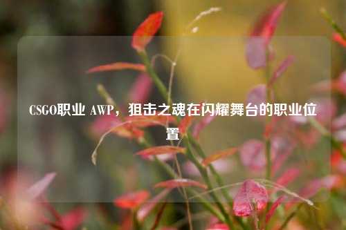 CSGO职业 AWP，狙击之魂在闪耀舞台的职业位置
