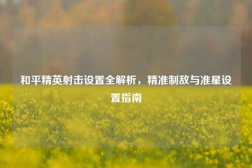 和平精英射击设置全解析,精准制敌与准星设置指南